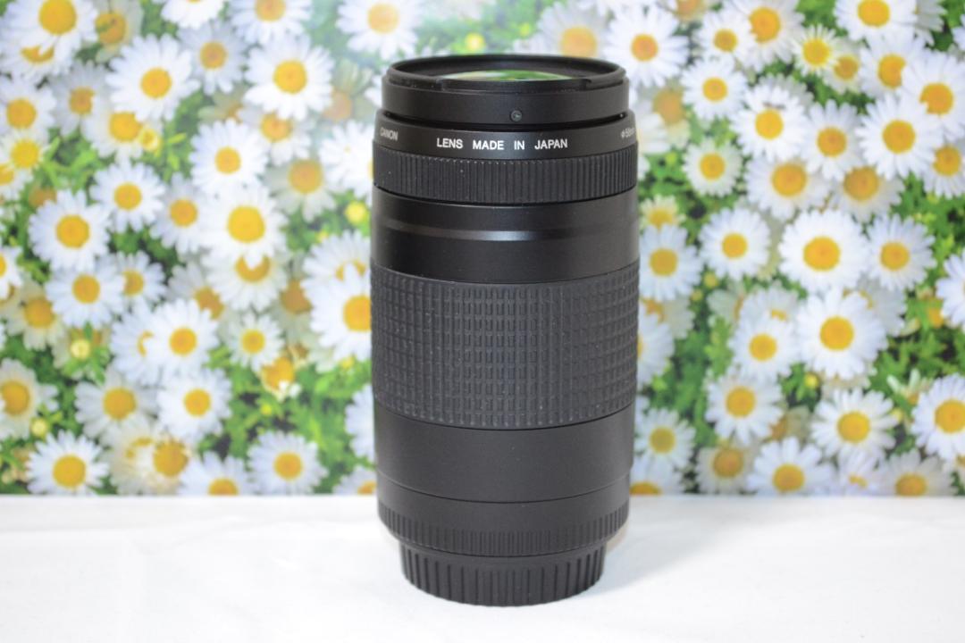 大迫力300㎜❤望遠レンズ❤大人気❤スポーツ❤Canon EF75-300㎜