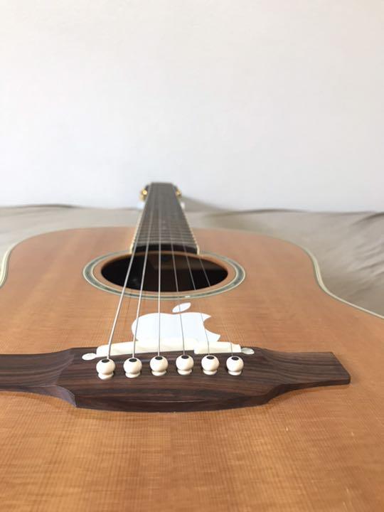 Takamine エレアコ　PTU441N