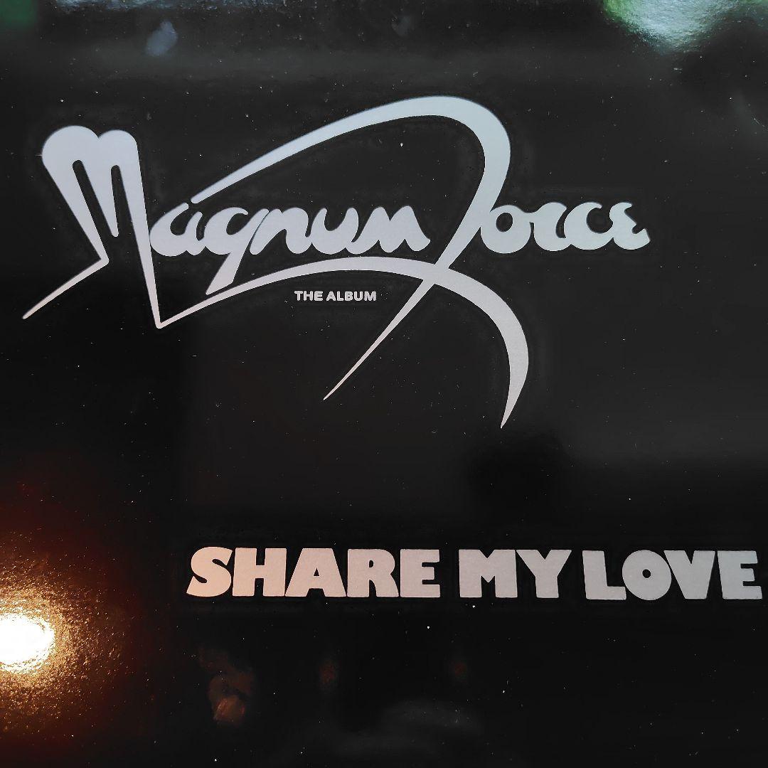 MAGNUM FORCE ☆ LPレコード R&B レアグルーヴ　フリーソウル MAGNUM FORCE ☆ LPレコード R&B レアグルーヴ フリーソウル