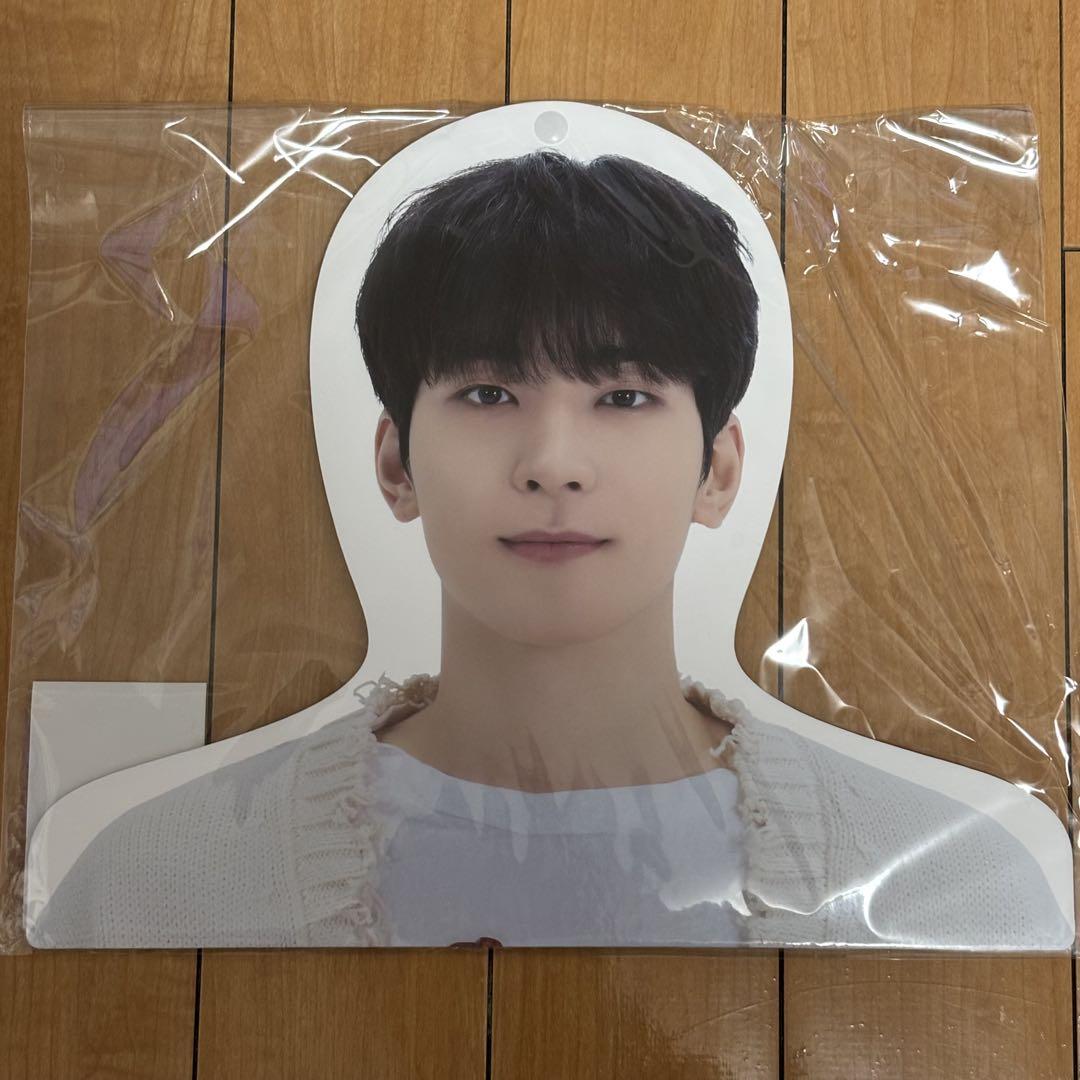 SEVENTEEN セブチ ウォヌ トレカ グッズ まとめ売り