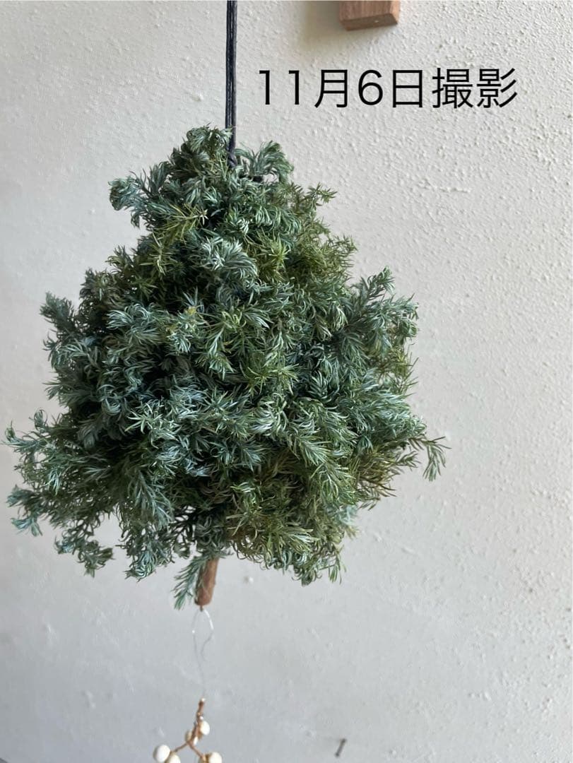 ミニツリーのフライングリース