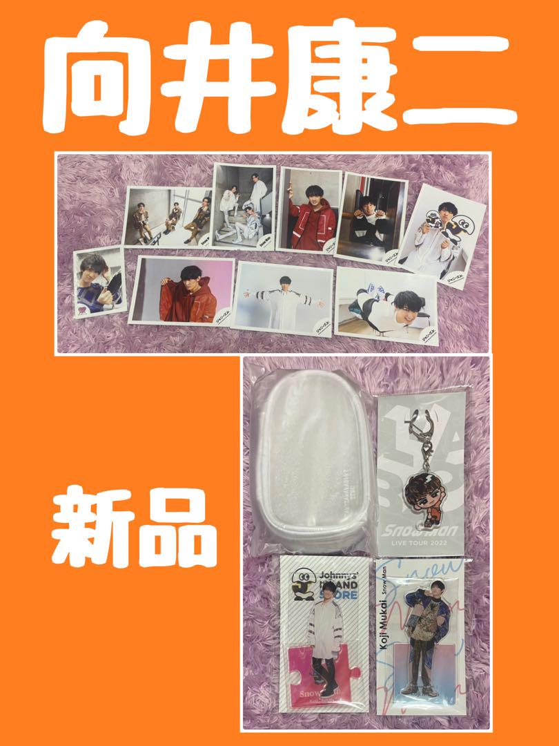 向井康二 snowman アクスタ fest すのチル キーホルダー 公式写真