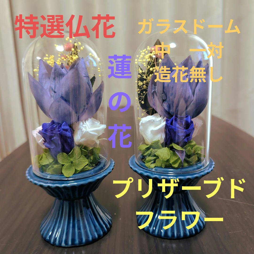 特選仏花　蓮の花　ガラスドーム　中サイズ一対　造花無し　プリザーブドフラワー 特選仏花 蓮の花 ガラスドーム 中サイズ 一対 造花無し