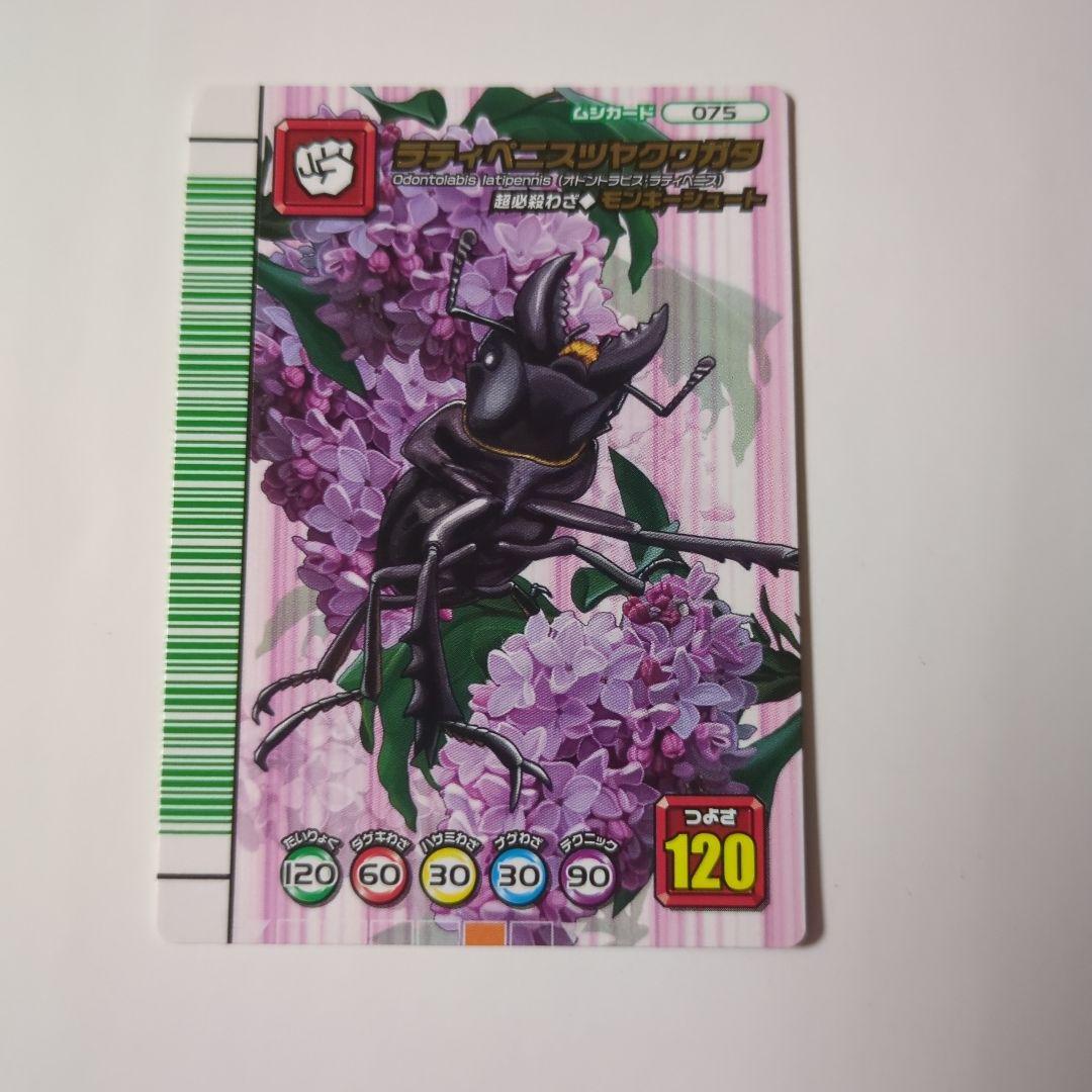 ☆ラティペニスツヤクワガタ☆スーパーモンキーシュート☆3枚セット☆未使用品☆ ムシキング ラティペニスツヤクワガタ スーパーモンキーシュート