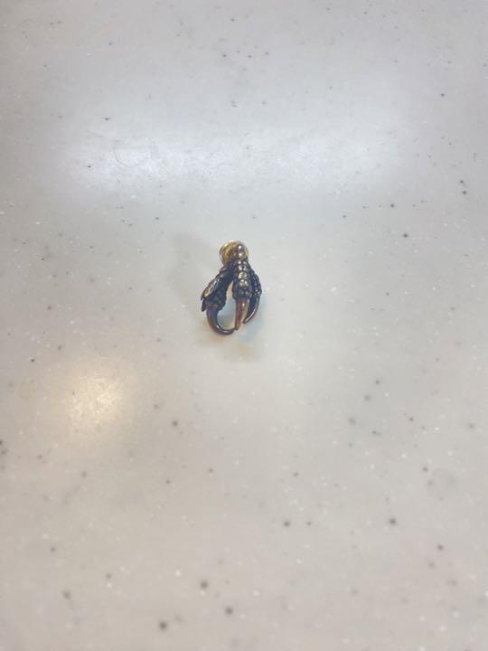 愛用 ラック Mary】 Bloody ドーヴ 幸小鳩 ピアス アクセサリー