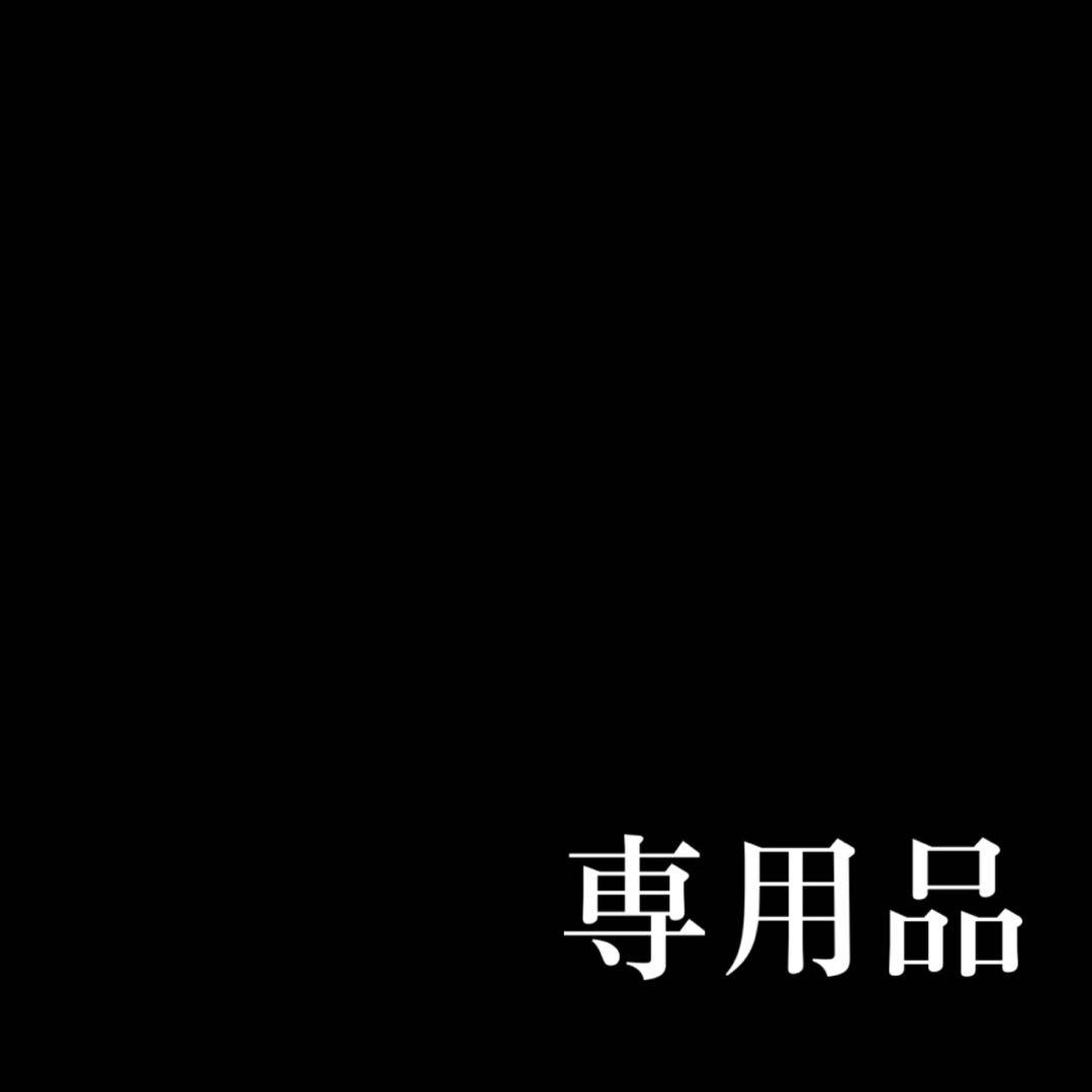 専用ページ