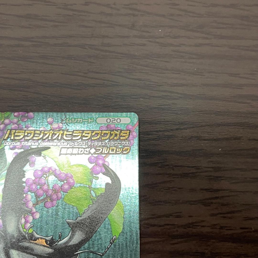 ムシキング 5周年コレクション パラワンオオヒラタクワガタ 性格