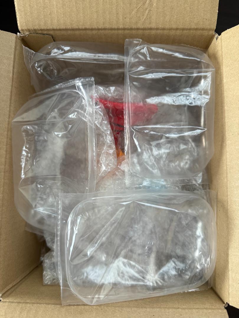 SEGA/G-PORT アスカ・レイ プラグスーツ 1/8 ガレージキット完成品
