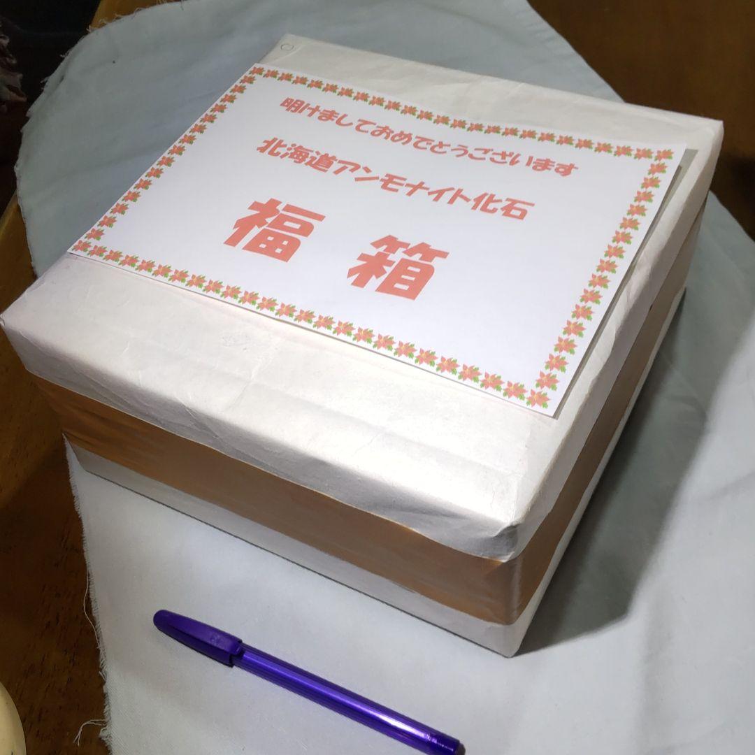 北海道アンモナイト化石の「福箱」 放っ