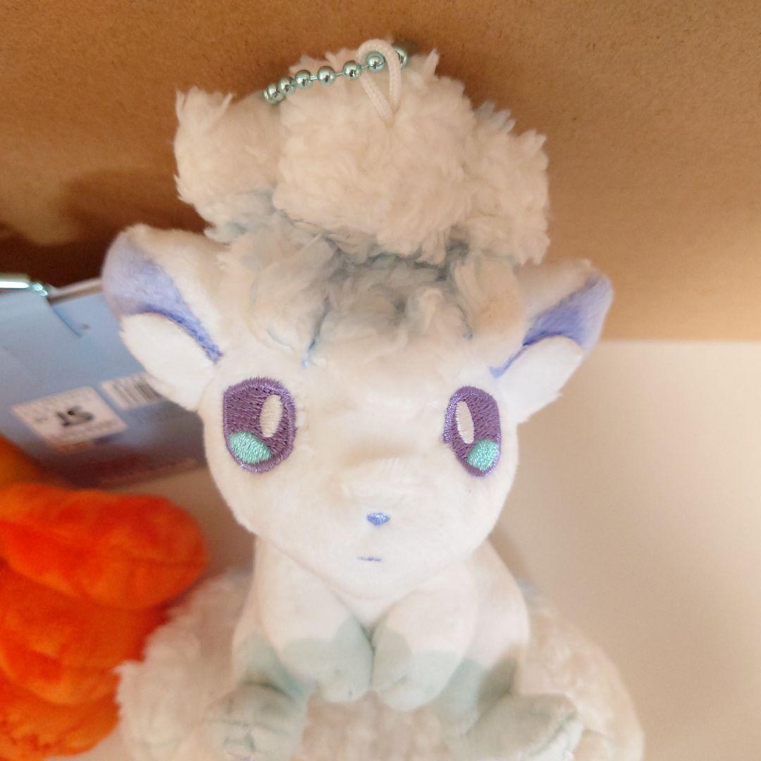匿名配送 新品タグ付*にたものどうし ロコン＆アローラロコン【R