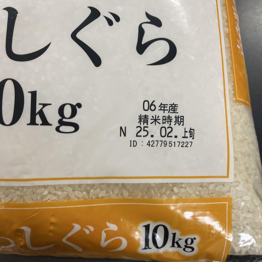 【本日限定ラスト1点】 青森県産　お米　まっしぐら　白米　10kg