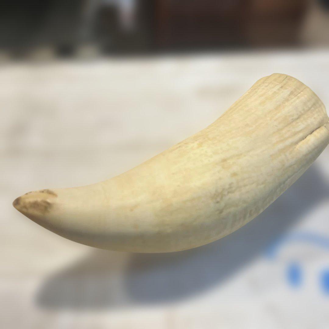 けんたろう