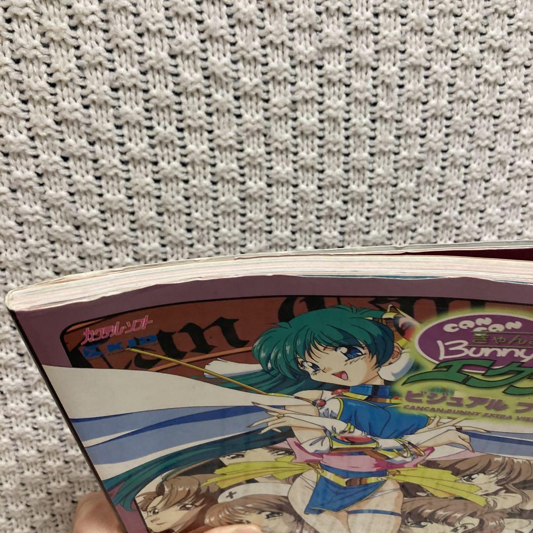 きゃんきゃんバニーエクストラ ビジュアルファンブック - メルカリ