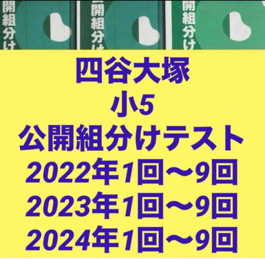 四谷大塚　公開組分けテスト　2024年　5年生　書込なし 四谷大塚 公開組分けテスト 2024年 5年生 書込なし - メルカリ