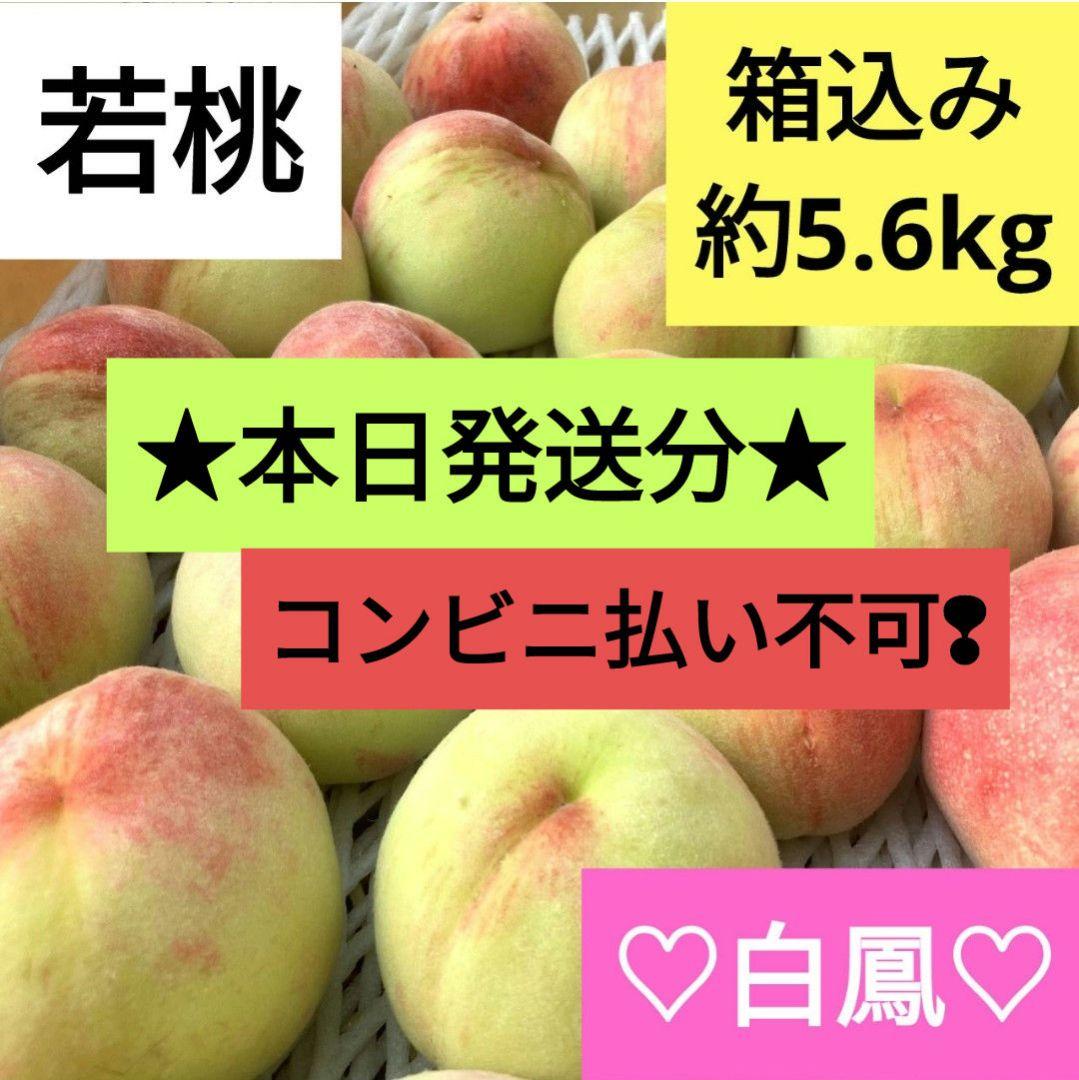 84.加工用　硬い桃　朝採れ　はねだし　若桃　小桃　傷あり