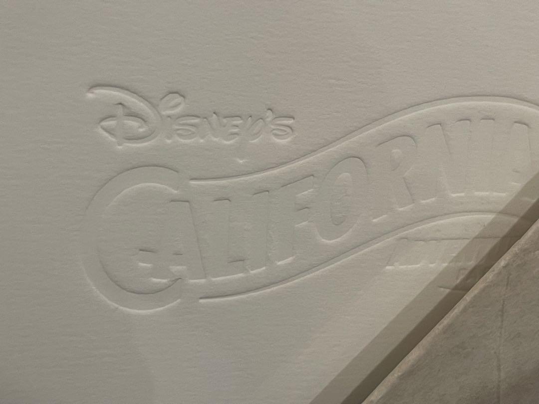 【絵画】　ディズニー　カリフォルニア
