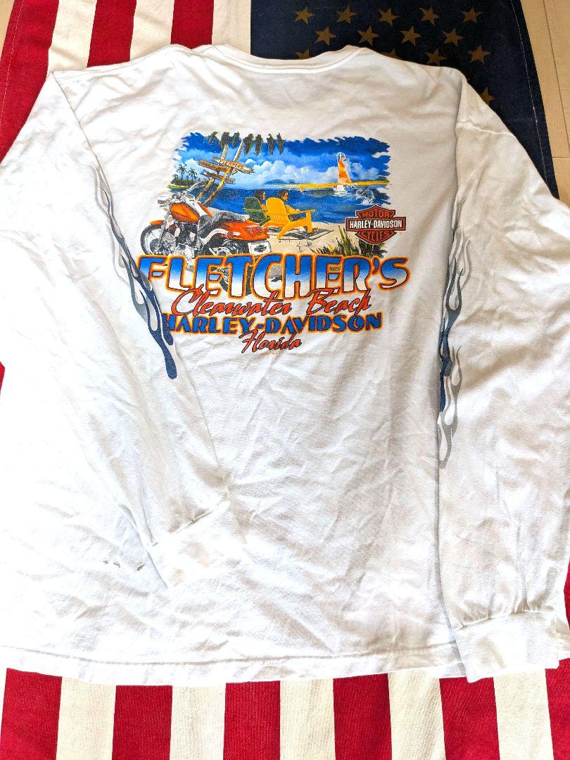 90s'HARLEY DAVIDSON ハーレーダビッドソンロンT　青フレイム