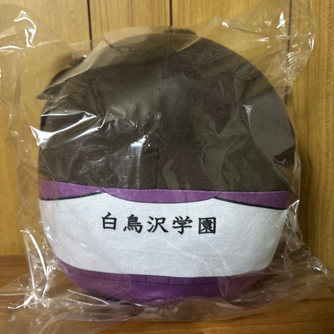 ふわコロりんBIG