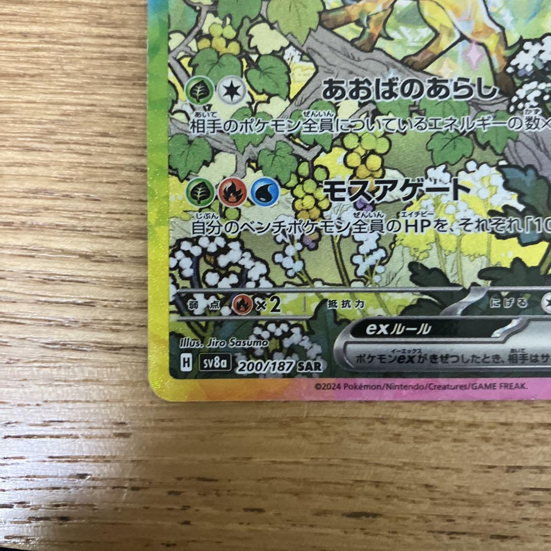 超越者竜帝品