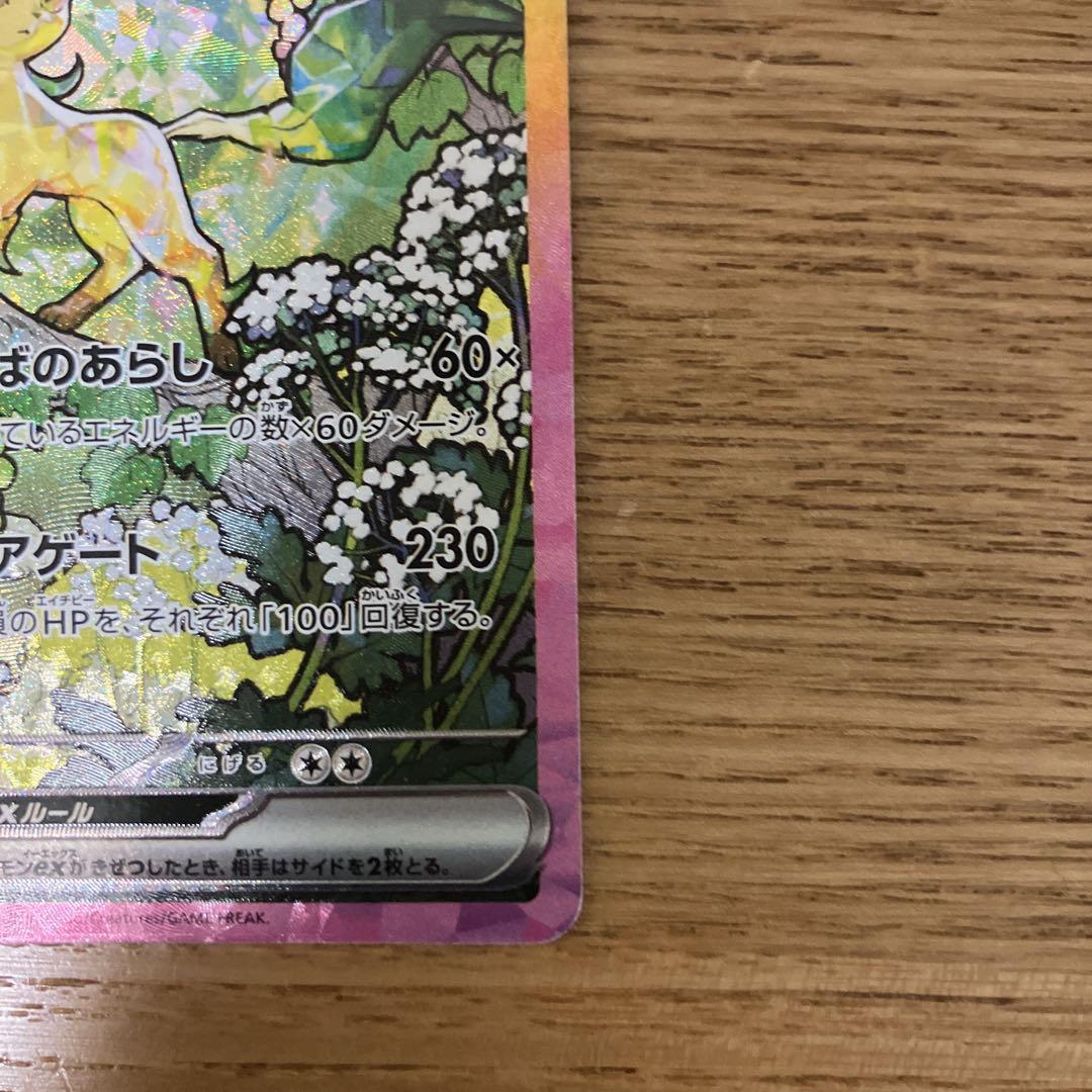 超越者竜帝品