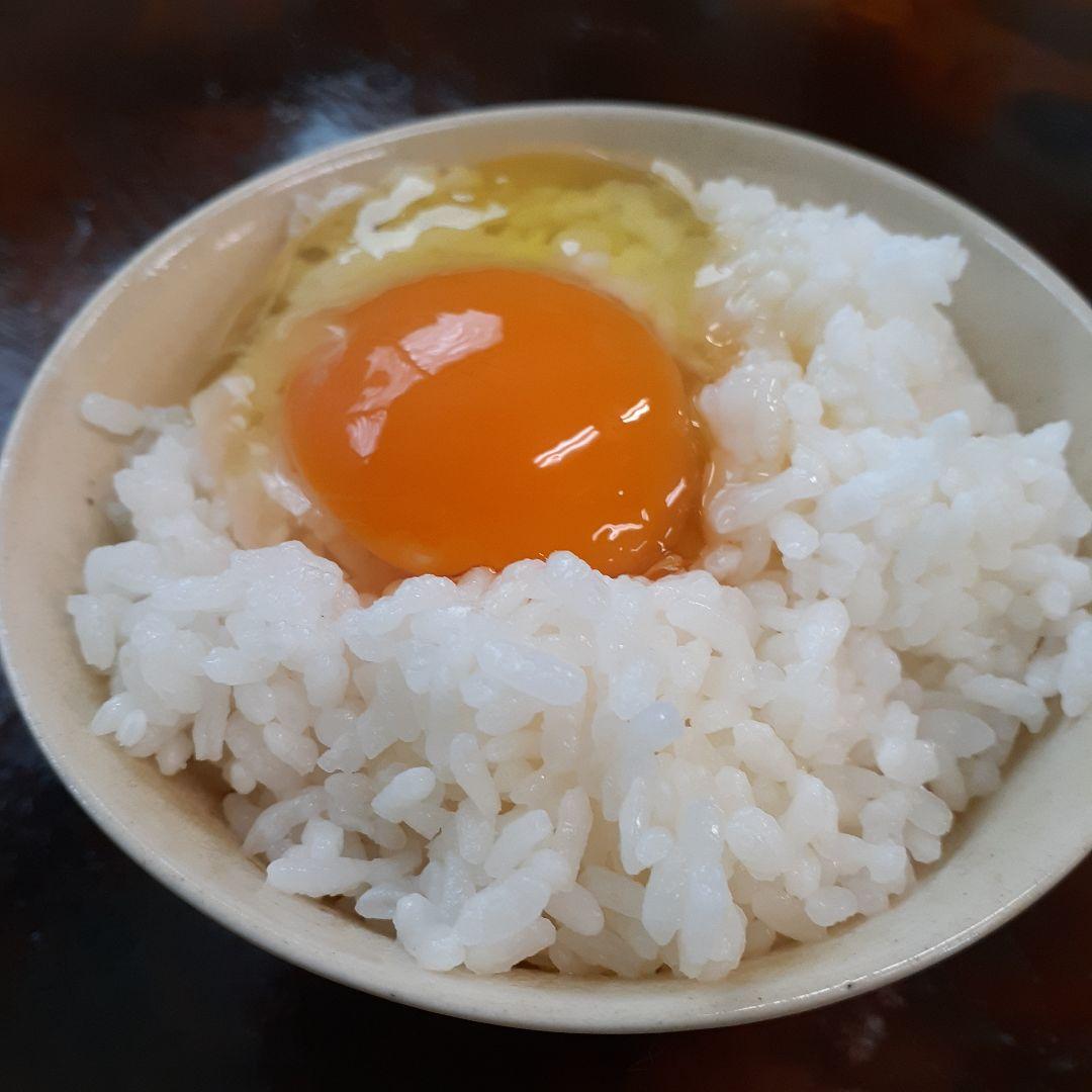 平飼い卵80個2/3常温発送