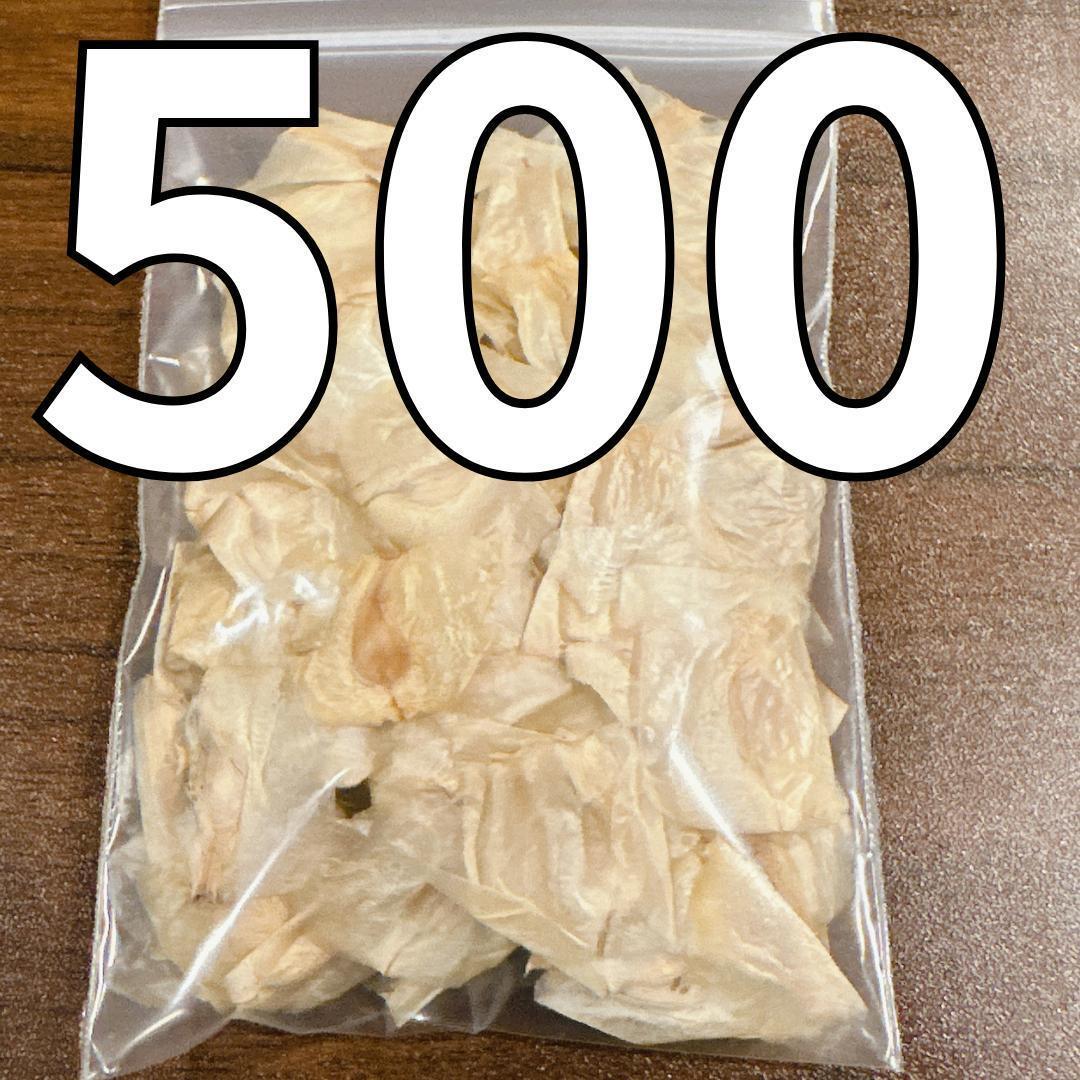 鮮度抜群!!!ウェルウィッチア ミラビリス の種子 Welwitschia