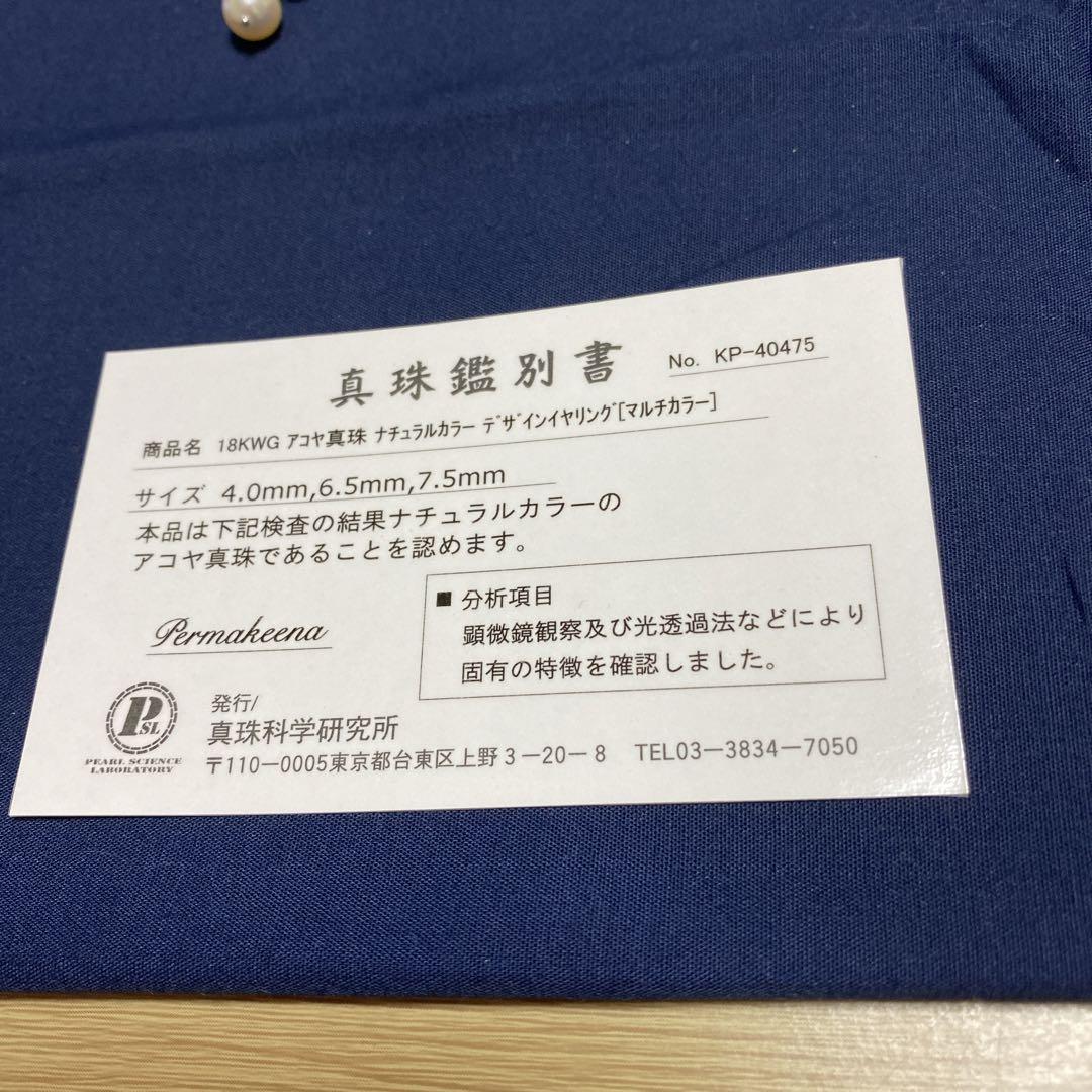 イヤリング マルチ
