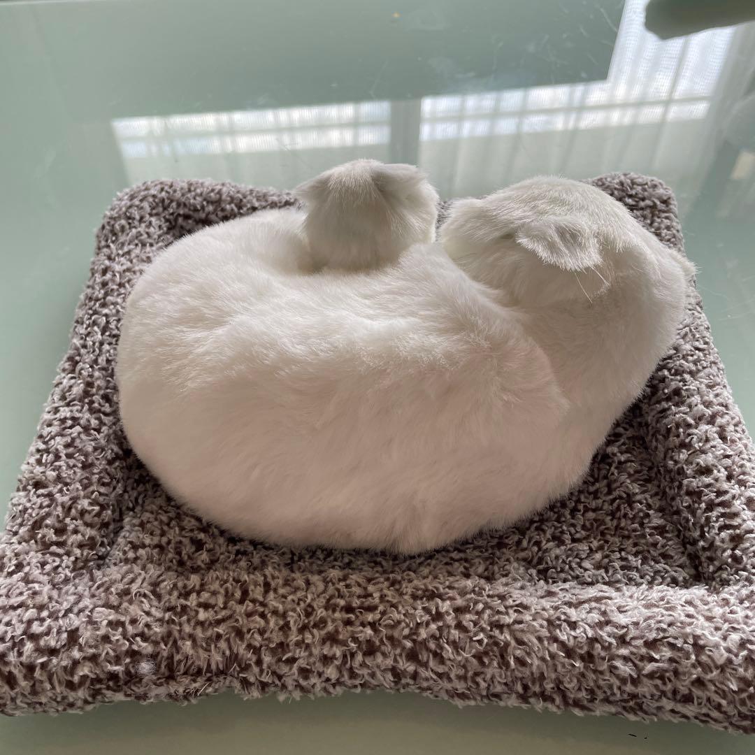 猫の親子のぬいぐるみ Amazon｜[ハウスXIN] 抱き枕 ネコ ホワイト ねこ 猫ぬいぐるみ