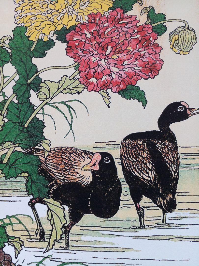 江戸屋版　媒嶺花鳥画譜第1編 27図 手作り古画修復　浮世絵風