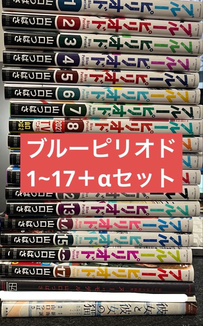 ブルーピリオド 1-17巻 +α 19冊セット - メルカリ