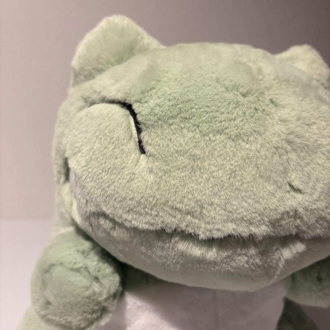 みがわり ふわふわ抱きぬいぐるみ タグ付き 2020 ポケモンセンター