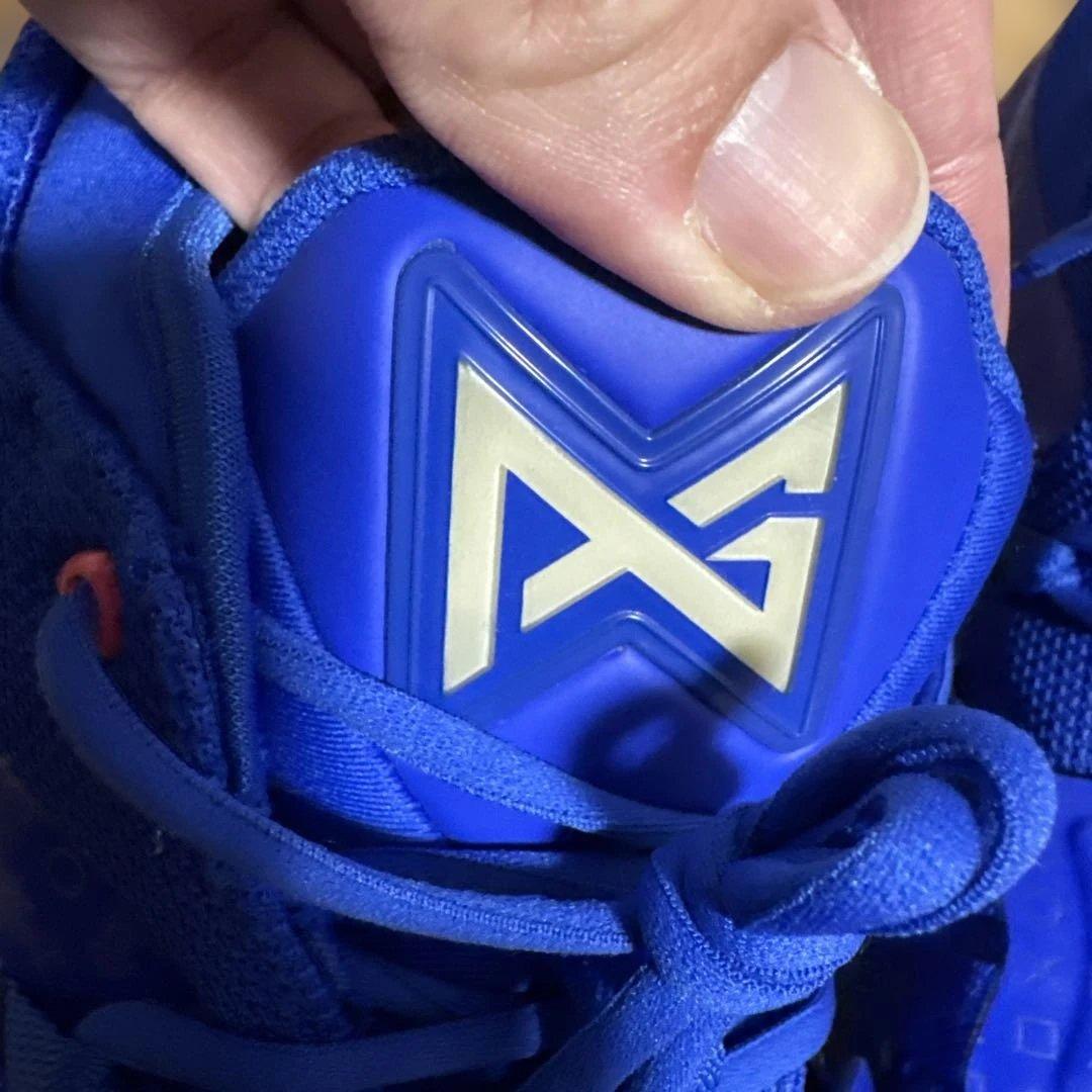 ナイキ PG2.5 プレイステーション マルチカラー 31cm ホールジョージ