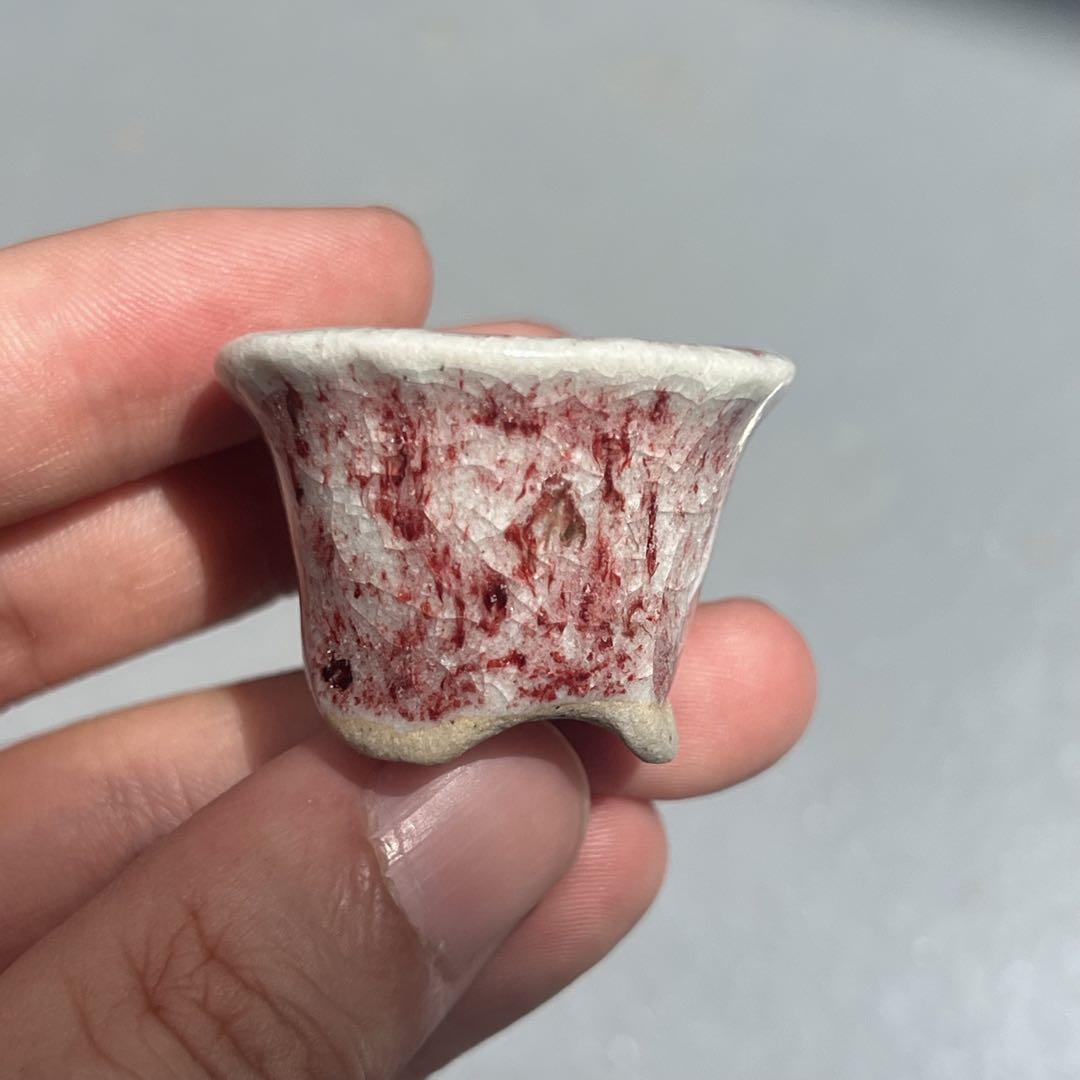 788.秋直 豆鉢4点 盆栽鉢 植木鉢