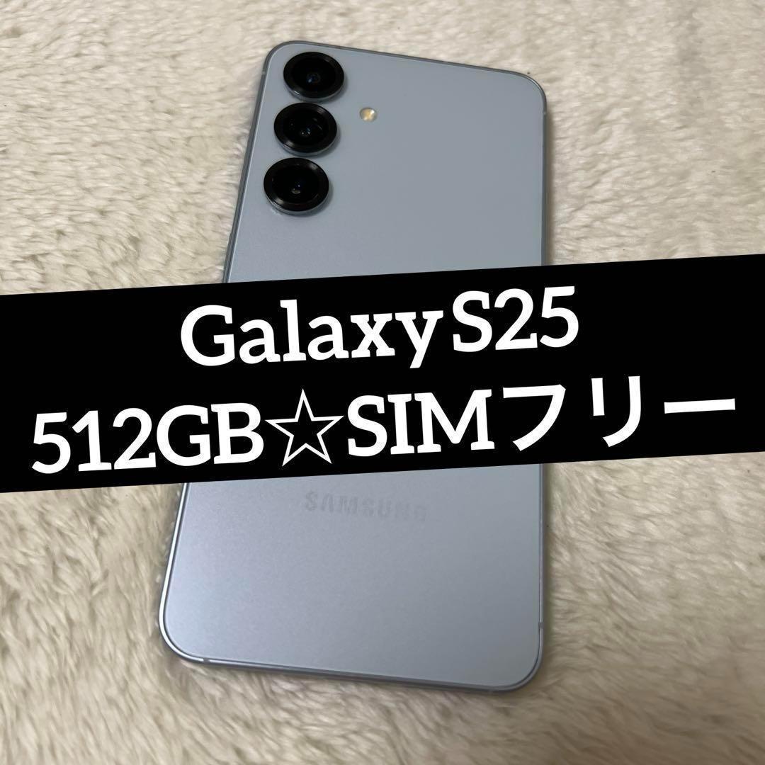 Galaxy S25 512GB SIMフリー f19