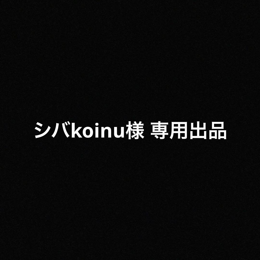 シバkoinu出品