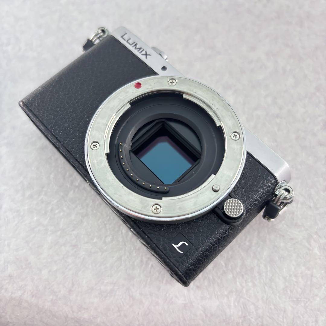 ■ パナソニック Panasonic DMC-GM1 デジタルカメラ