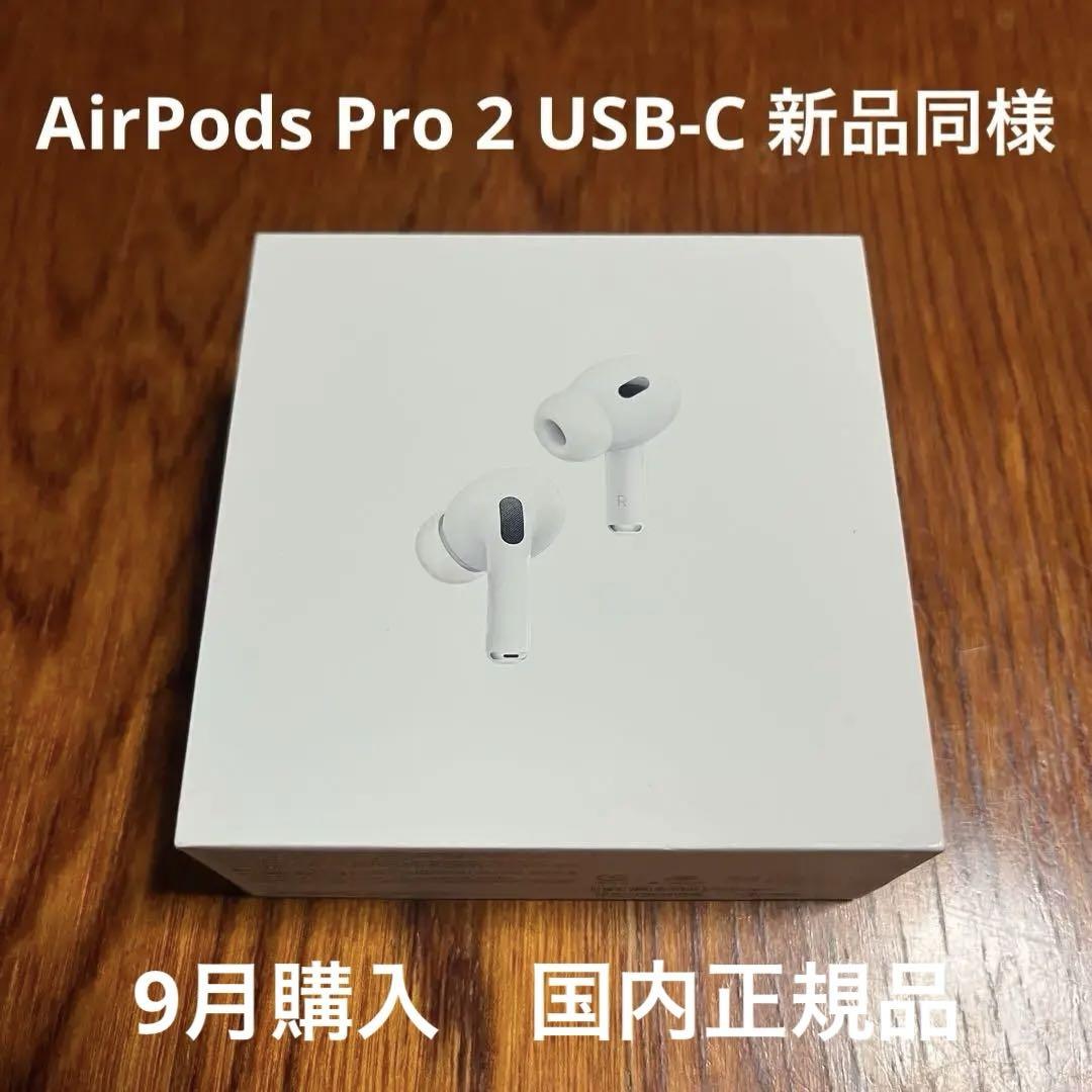 【極美品】Apple AirPods Pro 第二世代 Type-C