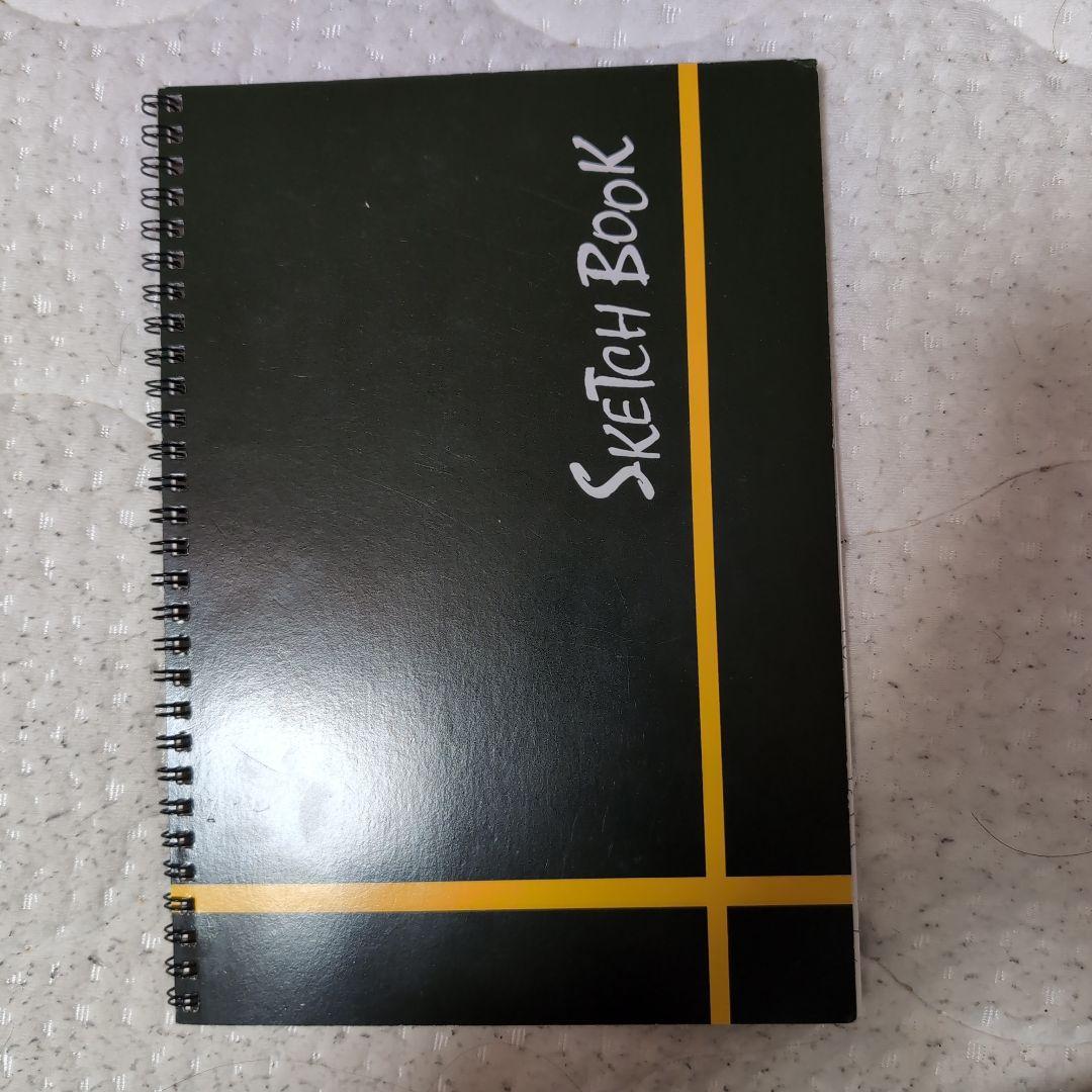 1ヶ月精神科病棟で入院した時に描いた絵目立った傷や汚れなし