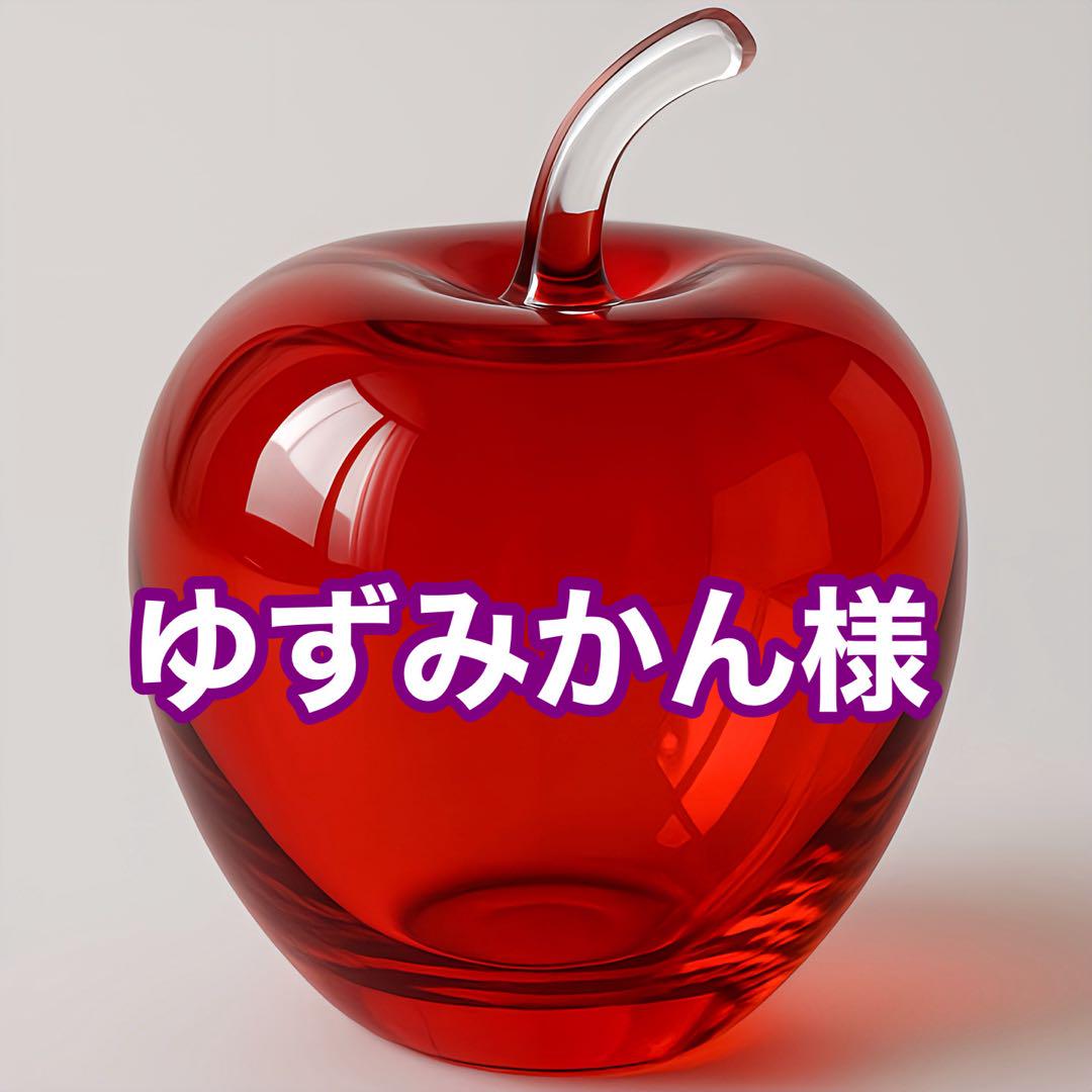 ゆずみかんさん専用です！ みかんさん専用です - メルカリ