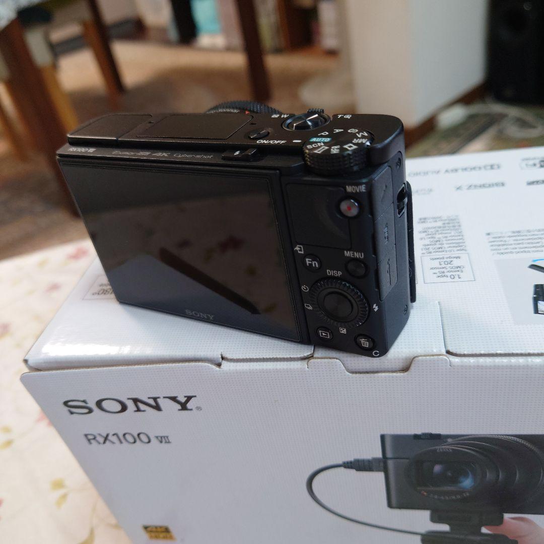 RX100