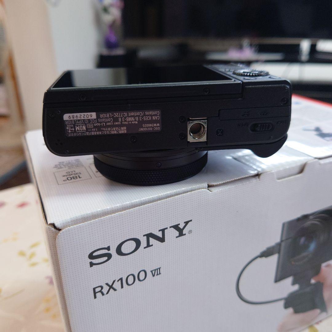 RX100