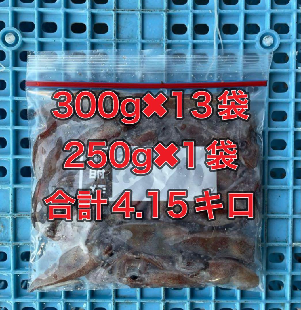 【最終在庫】釣り餌用　ホタルイカ　４.15キロ　300g✖︎13袋＋250g✖︎1袋