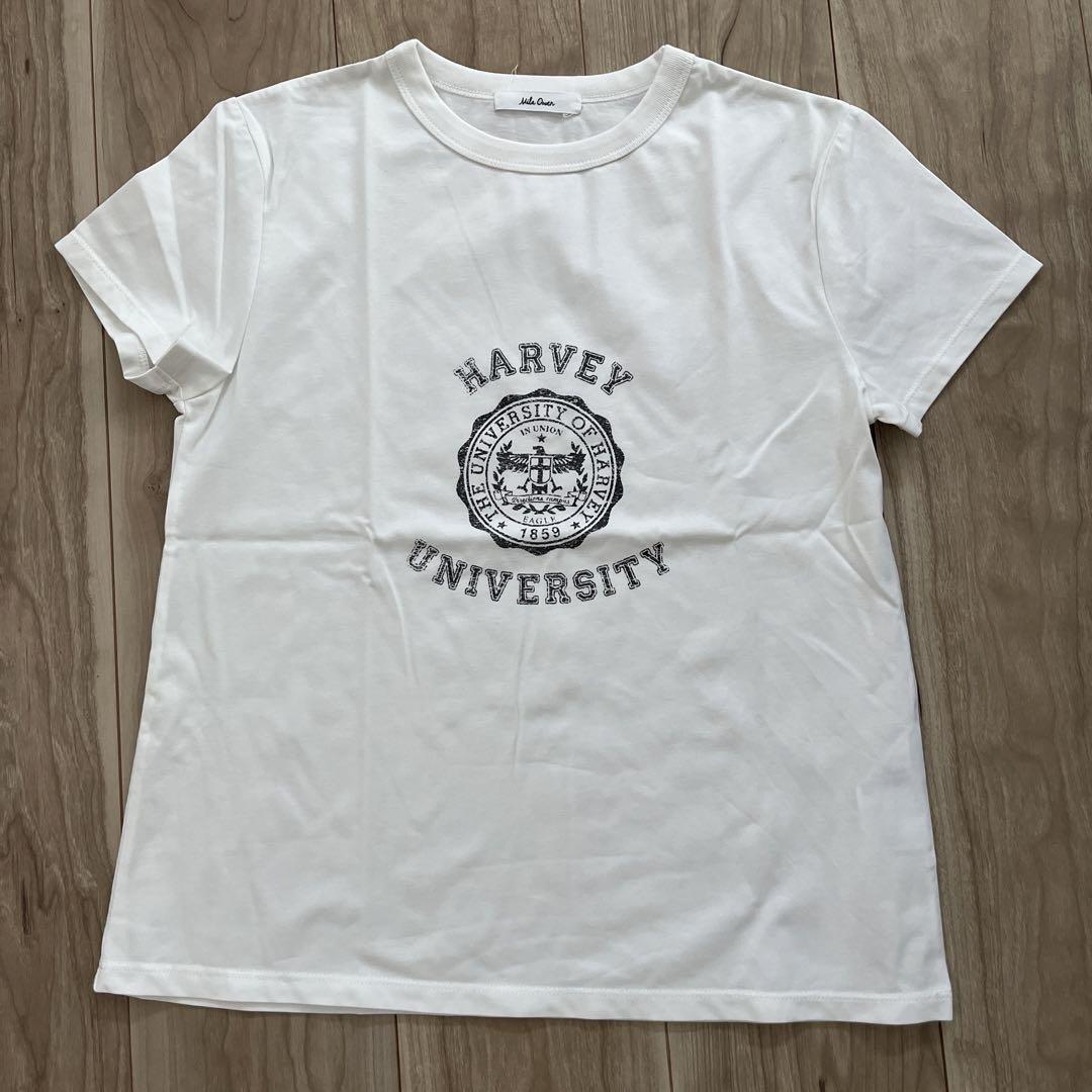 コンパクトスリーブカレッジTシャツ（カットソー/Tシャツ