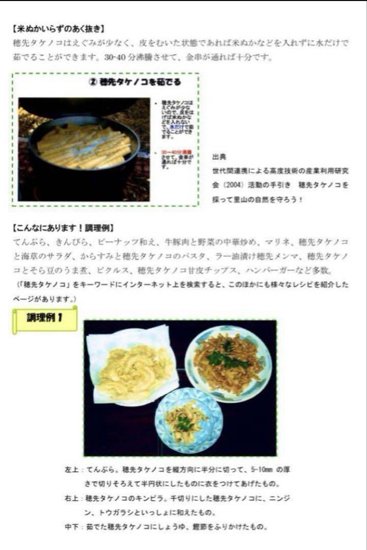 【オススメ】5/1 収穫発送 柔らか 穂先たけのこ 20キロ 糠付