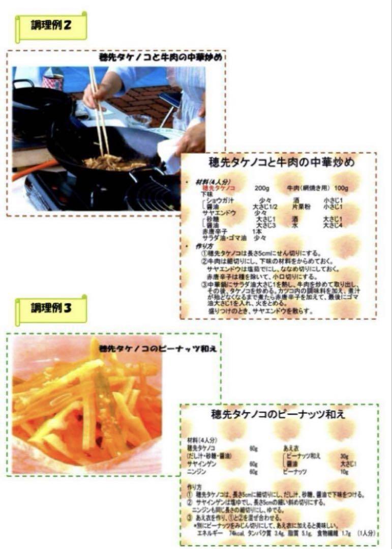 【オススメ】5/1 収穫発送 柔らか 穂先たけのこ 20キロ 糠付