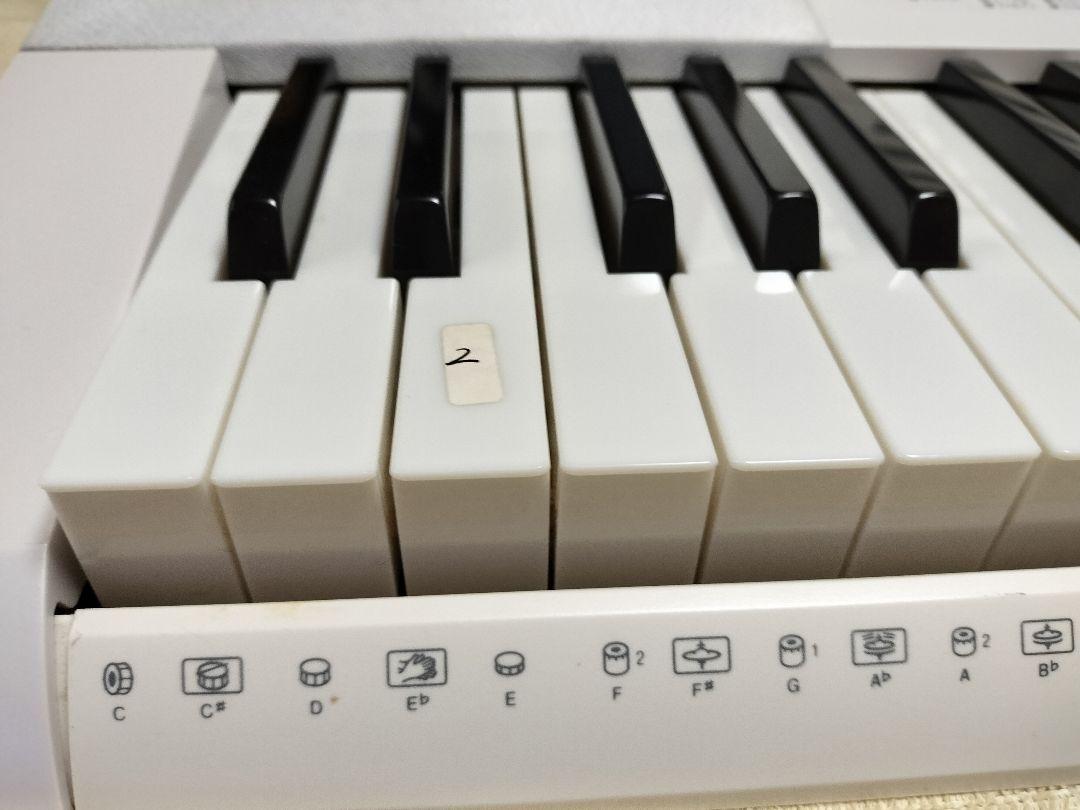 CASIO 光ナビゲーションキーボード LK218