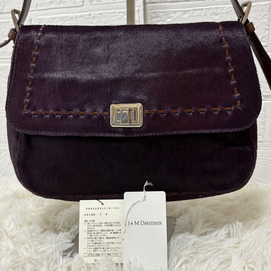 年末のプロモーション特価！ レア✨ タグあり ワンショルダーバッグ ハラコ davidson J&M バッグ