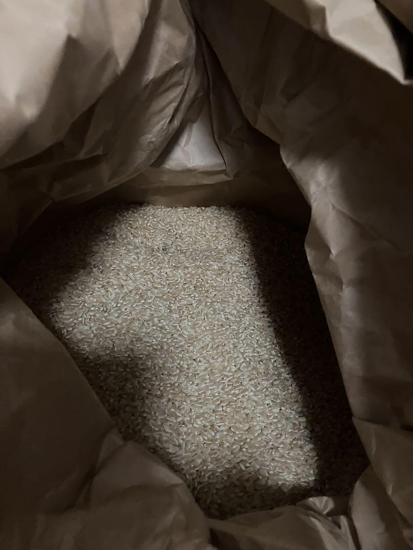 令和5年産　ひのひかり　玄米10キロ