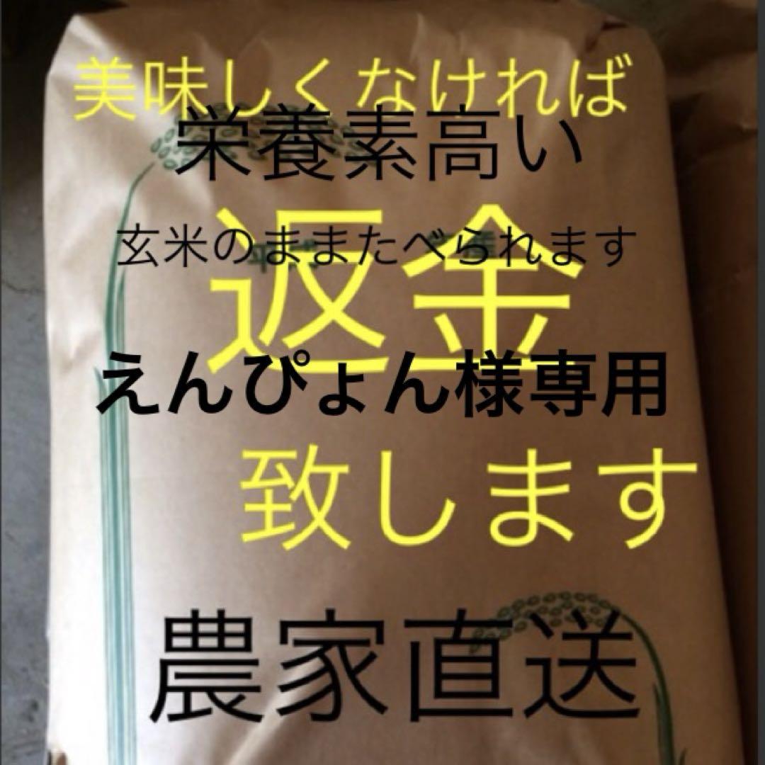 9月16日発送　えんぴょん様専用　新米農薬無しこしひかり30㎏ 玄米