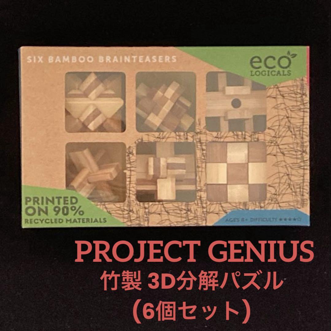 Project Genius★竹製立体パズル★分解パズル★6個セット★頭の体操